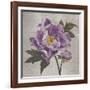 Plum Peonies 1-Gloria Eriksen-Framed Art Print