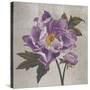 Plum Peonies 1-Gloria Eriksen-Stretched Canvas