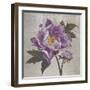 Plum Peonies 1-Gloria Eriksen-Framed Art Print