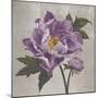 Plum Peonies 1-Gloria Eriksen-Mounted Art Print