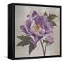 Plum Peonies 1-Gloria Eriksen-Framed Stretched Canvas