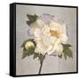 Plum Peonies 2-Gloria Eriksen-Framed Stretched Canvas