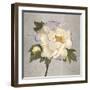 Plum Peonies 2-Gloria Eriksen-Framed Art Print