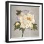 Plum Peonies 2-Gloria Eriksen-Framed Art Print