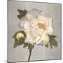 Plum Peonies 2-Gloria Eriksen-Mounted Art Print