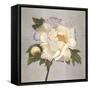 Plum Peonies 2-Gloria Eriksen-Framed Stretched Canvas