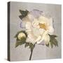 Plum Peonies 2-Gloria Eriksen-Stretched Canvas