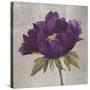 Plum Peonies 3-Gloria Eriksen-Stretched Canvas