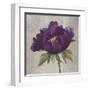 Plum Peonies 3-Gloria Eriksen-Framed Art Print