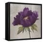 Plum Peonies 3-Gloria Eriksen-Framed Stretched Canvas