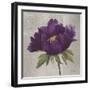 Plum Peonies 3-Gloria Eriksen-Framed Art Print