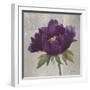 Plum Peonies 3-Gloria Eriksen-Framed Art Print