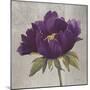 Plum Peonies 3-Gloria Eriksen-Mounted Art Print