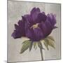 Plum Peonies 3-Gloria Eriksen-Mounted Art Print