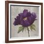 Plum Peonies 3-Gloria Eriksen-Framed Art Print