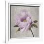 Plum Peonies 4-Gloria Eriksen-Framed Art Print