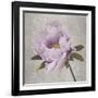 Plum Peonies 4-Gloria Eriksen-Framed Art Print