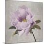 Plum Peonies 4-Gloria Eriksen-Mounted Art Print