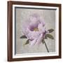 Plum Peonies 4-Gloria Eriksen-Framed Art Print