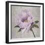 Plum Peonies 4-Gloria Eriksen-Framed Art Print