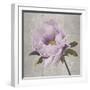 Plum Peonies 4-Gloria Eriksen-Framed Art Print