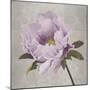 Plum Peonies 4-Gloria Eriksen-Mounted Art Print