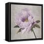 Plum Peonies 4-Gloria Eriksen-Framed Stretched Canvas