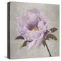 Plum Peonies 4-Gloria Eriksen-Stretched Canvas