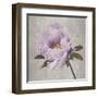 Plum Peonies 4-Gloria Eriksen-Framed Art Print