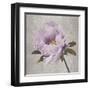 Plum Peonies 4-Gloria Eriksen-Framed Art Print