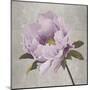 Plum Peonies 4-Gloria Eriksen-Mounted Art Print