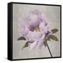 Plum Peonies 4-Gloria Eriksen-Framed Stretched Canvas