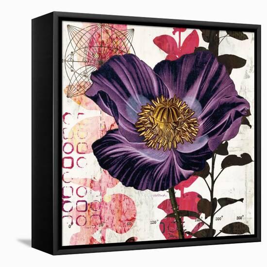 Plum Poppy Story-Melissa Pluch-Framed Stretched Canvas