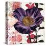 Plum Poppy Story-Melissa Pluch-Stretched Canvas