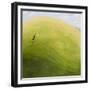 Plum Puddin' Hill-Chris Ross Williamson-Framed Giclee Print