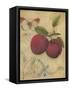 Plum Recollection-Regina-Andrew Design-Framed Stretched Canvas