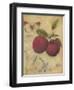 Plum Recollection-Regina-Andrew Design-Framed Art Print