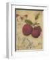 Plum Recollection-Regina-Andrew Design-Framed Art Print