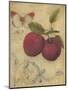 Plum Recollection-Regina-Andrew Design-Mounted Art Print