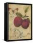 Plum Recollection-Regina-Andrew Design-Framed Stretched Canvas