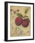 Plum Recollection-Regina-Andrew Design-Framed Art Print