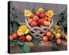 Plum Still Life-null-Stretched Canvas