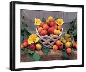 Plum Still Life-null-Framed Art Print