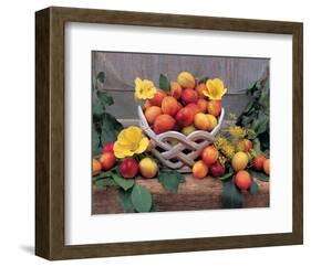 Plum Still Life-null-Framed Art Print