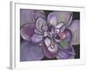 Plum Succulent-Filippo Ioco-Framed Art Print