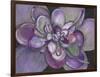 Plum Succulent-Filippo Ioco-Framed Art Print