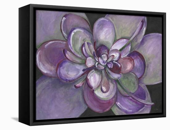 Plum Succulent-Filippo Ioco-Framed Stretched Canvas