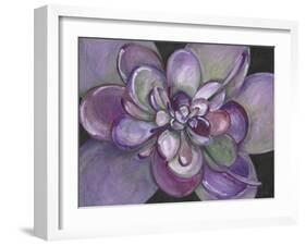 Plum Succulent-Filippo Ioco-Framed Art Print