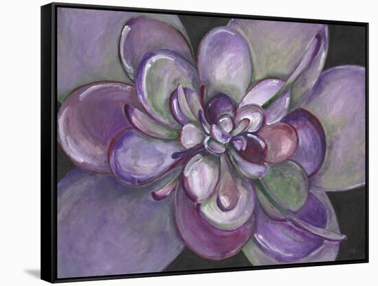 Plum Succulent-Filippo Ioco-Framed Stretched Canvas
