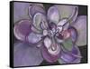 Plum Succulent-Filippo Ioco-Framed Stretched Canvas